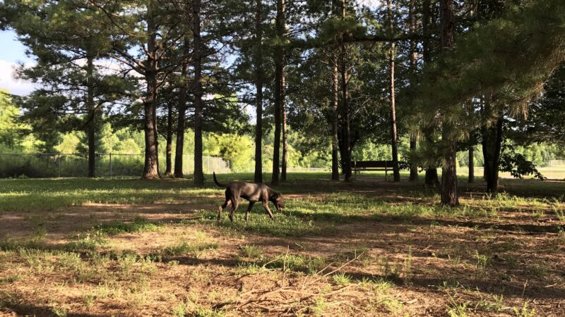 Shuffletown Park - Charlotte, NC