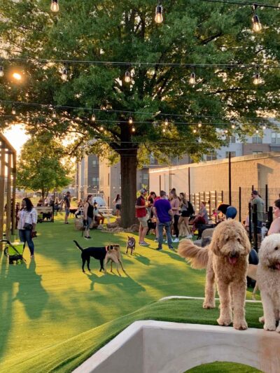 Skiptown - Charlotte, NC