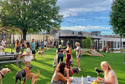 Skiptown - Charlotte, NC