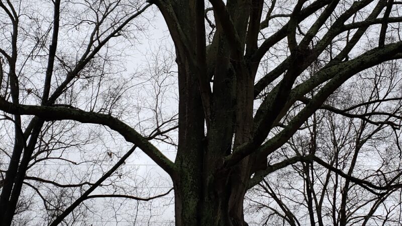 Solomans Park - Charlotte, NC