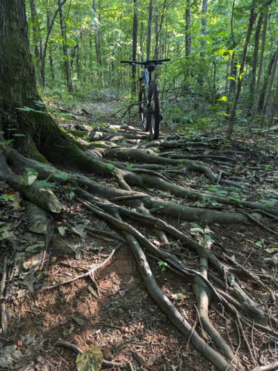 Southwest District Park - Charlotte, NC