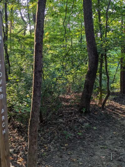 Southwest District Park - Charlotte, NC