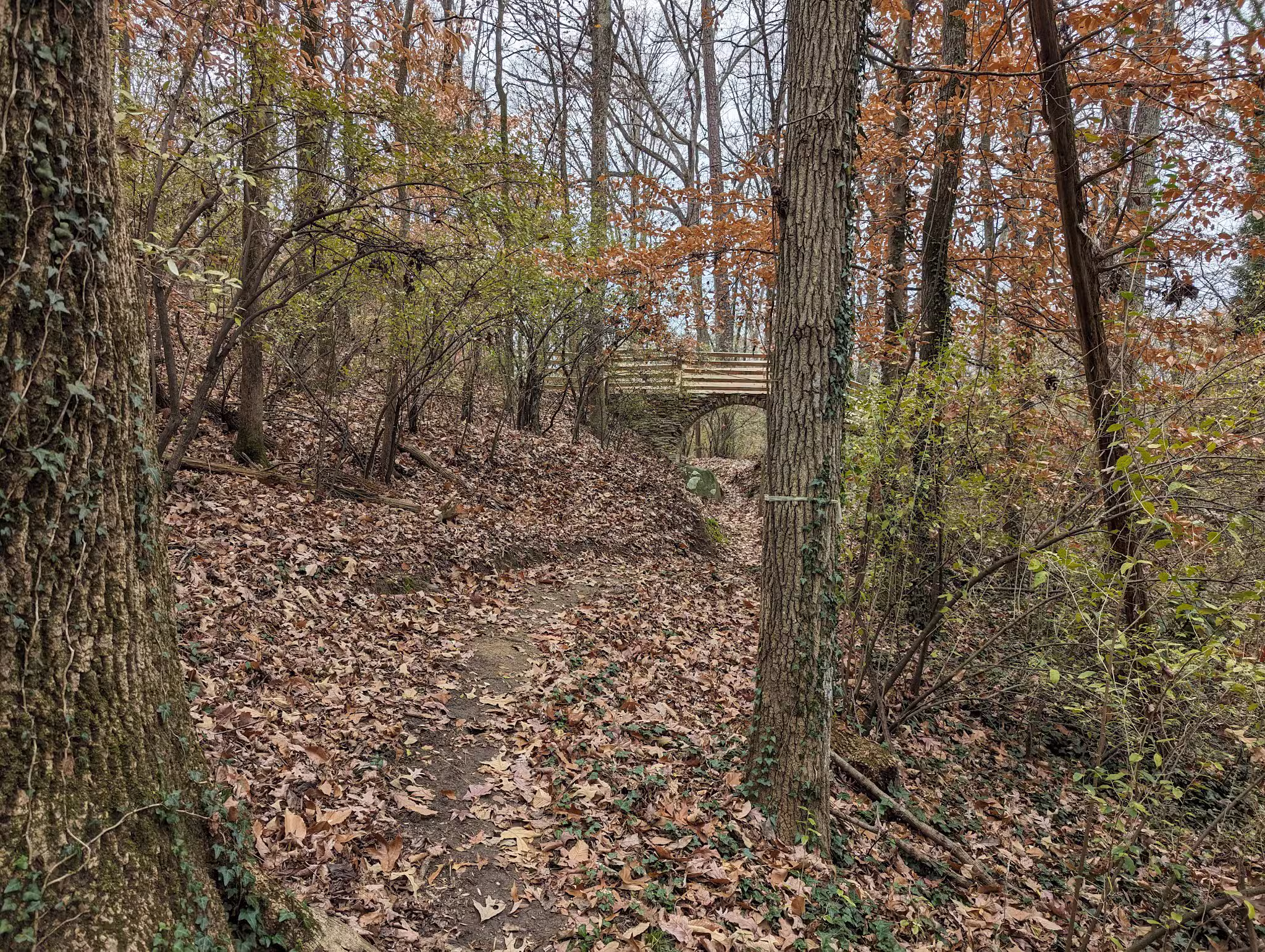 Southwest District Park - Charlotte, NC