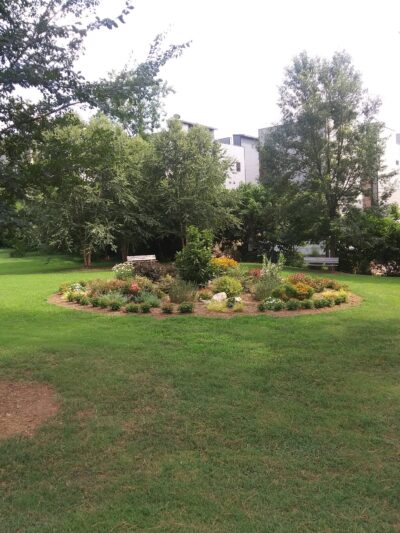 Third Ward Park - Charlotte, NC