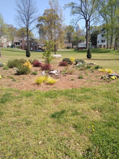 Third Ward Park - Charlotte, NC