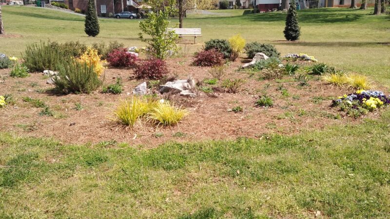 Third Ward Park - Charlotte, NC