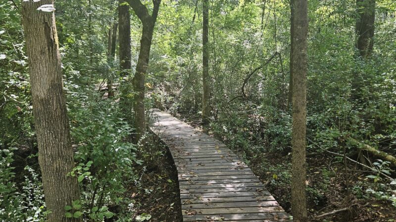 Thomas McAlister Winget Park - Charlotte, NC