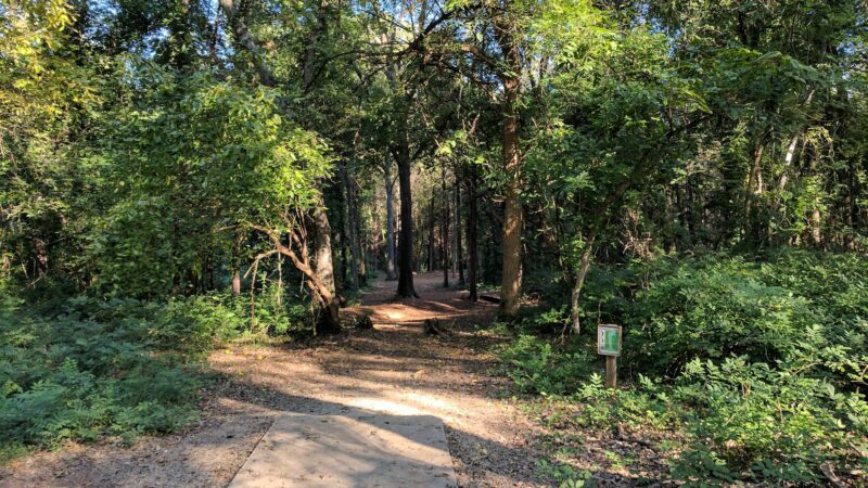 Thomas McAlister Winget Park - Charlotte, NC