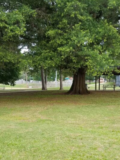 Veterans Park - Charlotte, NC