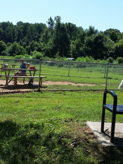 Azalea Park Dog Park - Charlottesville, VA