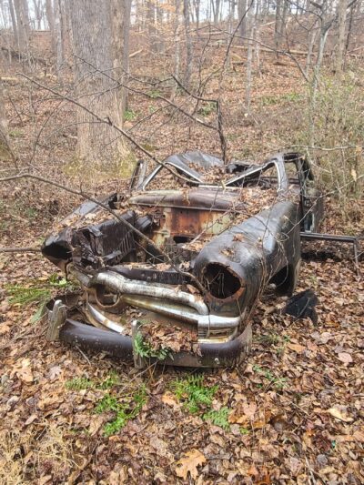 Biscuit Run Park - Charlottesville, VA