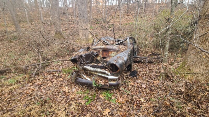 Biscuit Run Park - Charlottesville, VA