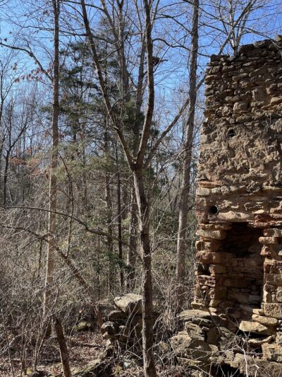 Biscuit Run Park - Charlottesville, VA