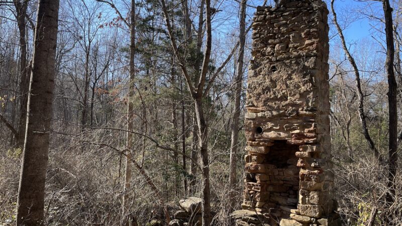 Biscuit Run Park - Charlottesville, VA