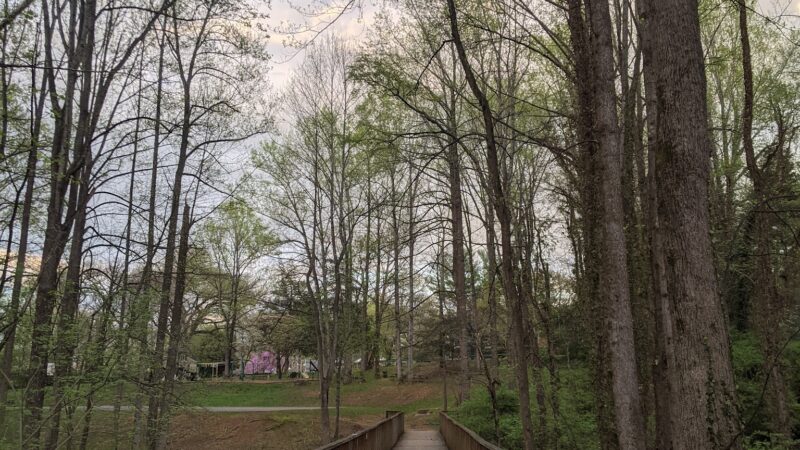 Northeast Park - Charlottesville, VA