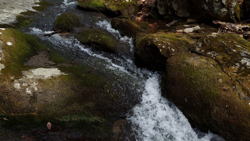 Rives Park - Charlottesville, VA