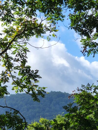 Rives Park - Charlottesville, VA