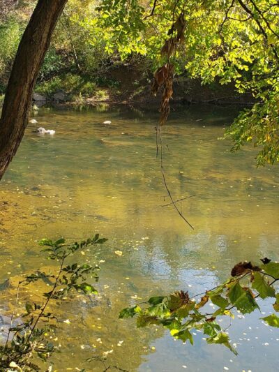 Rives Park - Charlottesville, VA