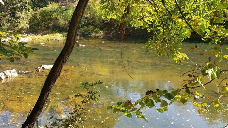Rives Park - Charlottesville, VA
