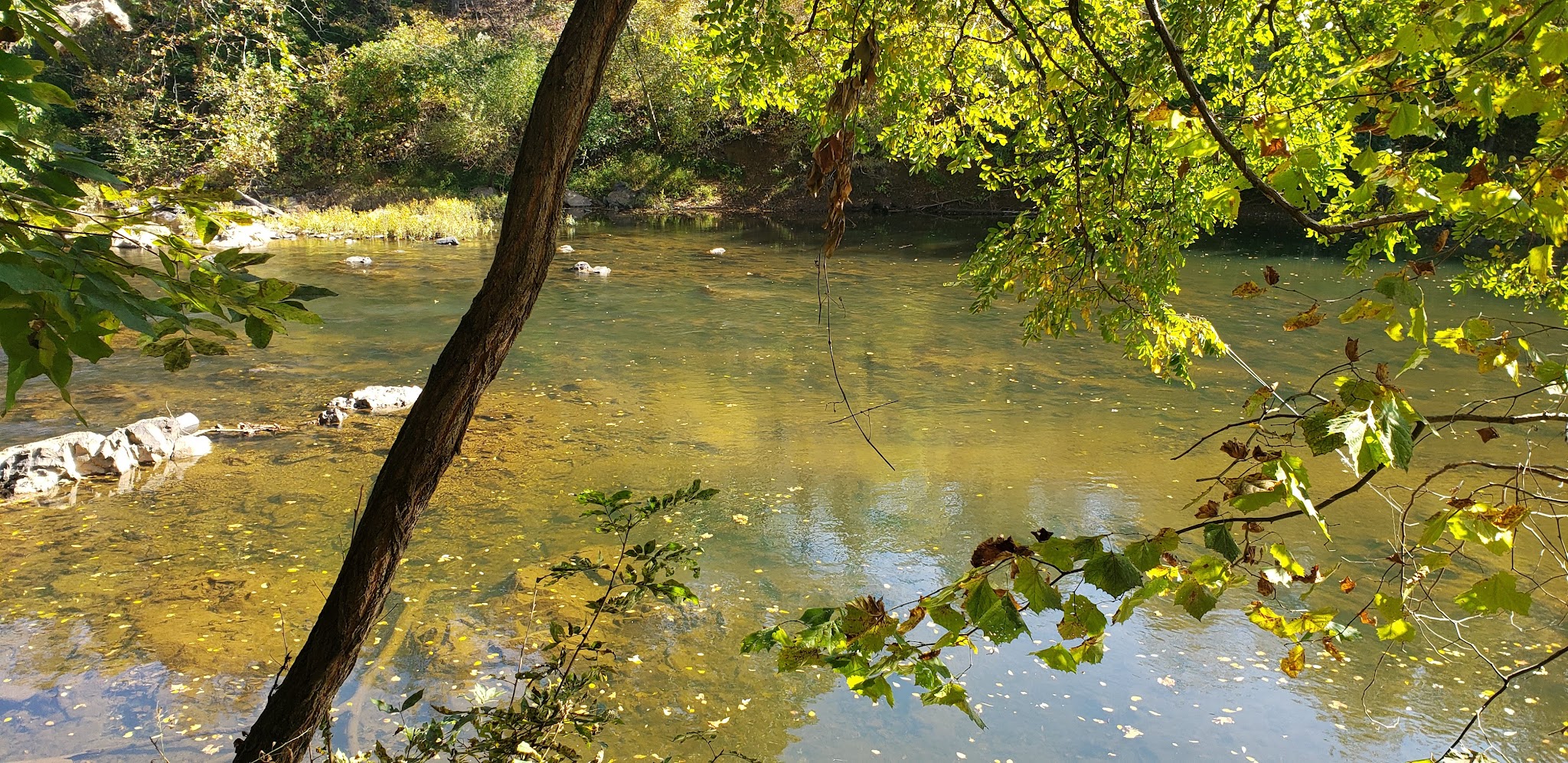 Rives Park - Charlottesville, VA | Bark Park Finder