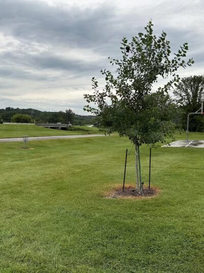 Groen Park - Chatfield, MN