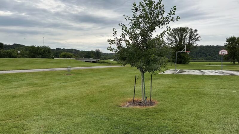 Groen Park - Chatfield, MN