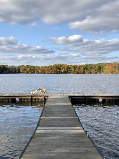Bridgeview Park - Chatham, IL