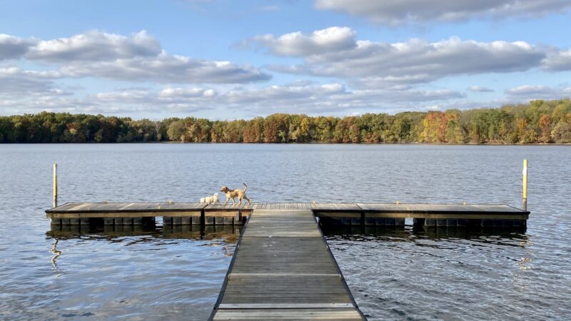Bridgeview Park - Chatham, IL