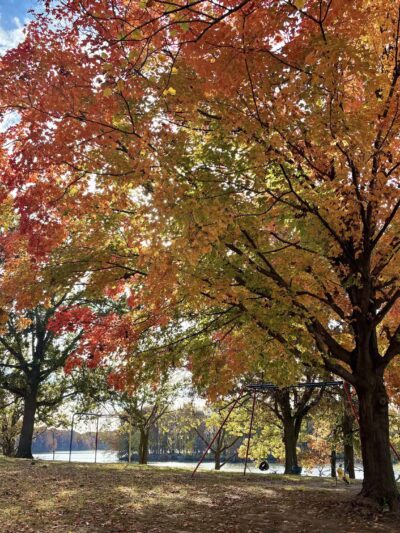 Bridgeview Park - Chatham, IL