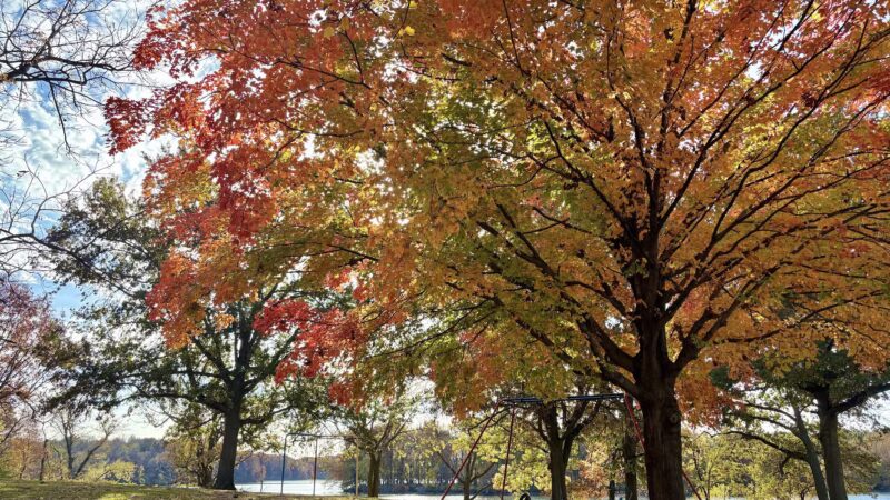 Bridgeview Park - Chatham, IL