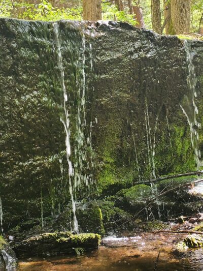 Harris - Chatham, NY