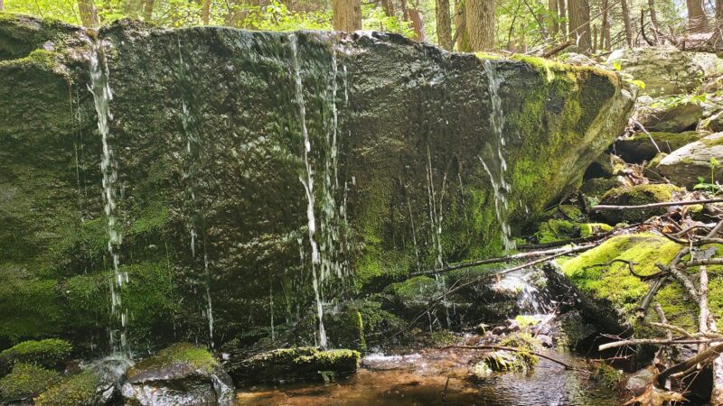 Harris - Chatham, NY