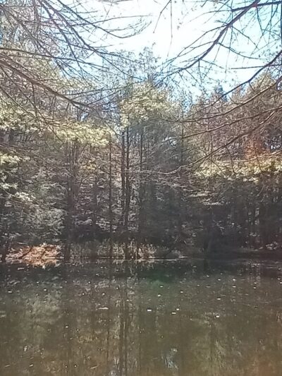 Harris - Chatham, NY