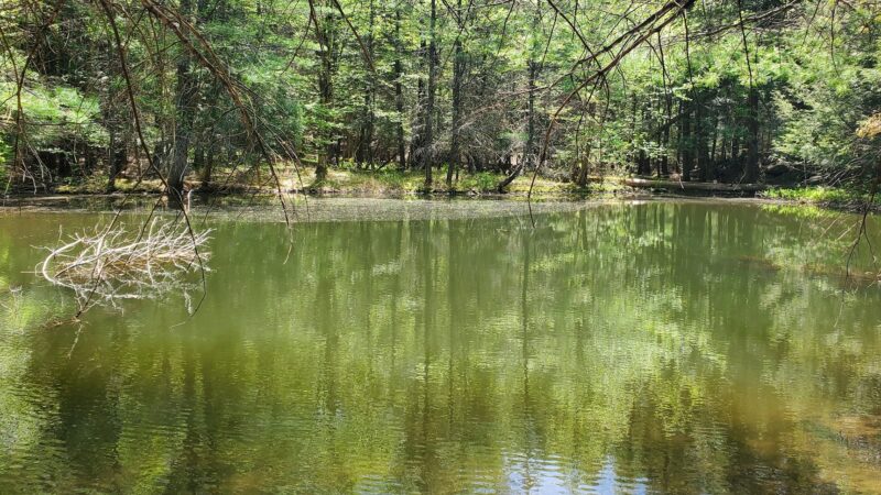 Harris - Chatham, NY