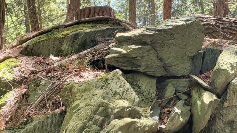 Harris - Chatham, NY