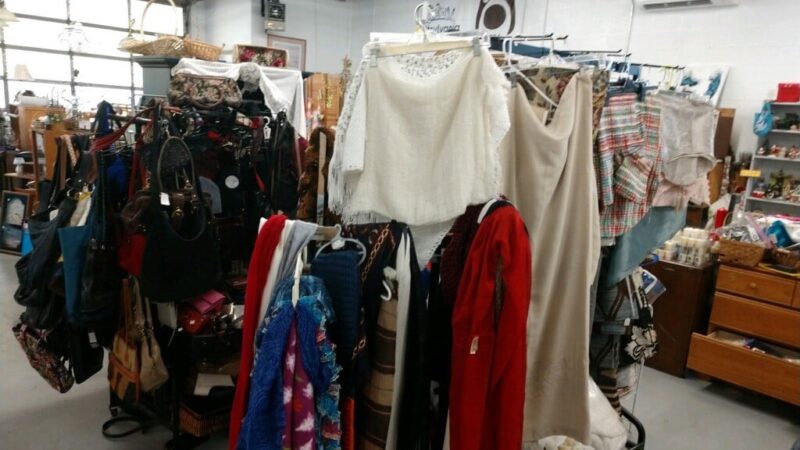 Doggie Bag Thrift Store - Chatham, VA