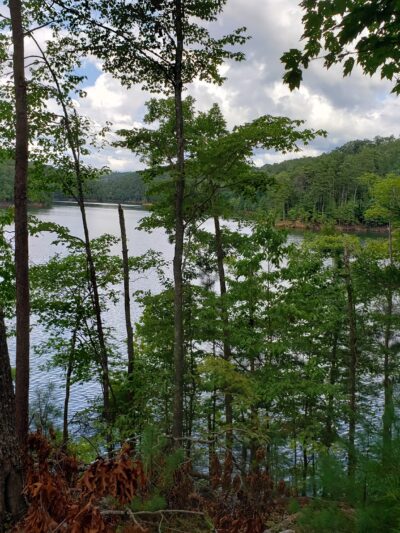 Amadahy - Chatsworth, GA