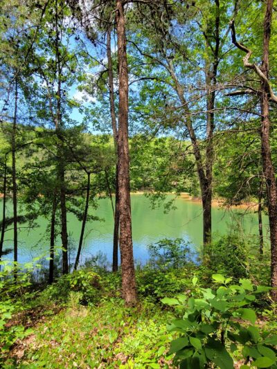 Amadahy - Chatsworth, GA