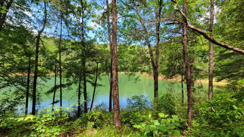 Amadahy - Chatsworth, GA