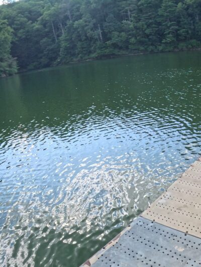 Amadahy - Chatsworth, GA