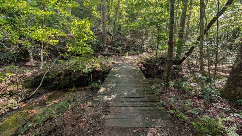 Amadahy - Chatsworth, GA