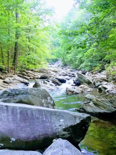 Emery Creek Trail Trailhead - Chatsworth, GA