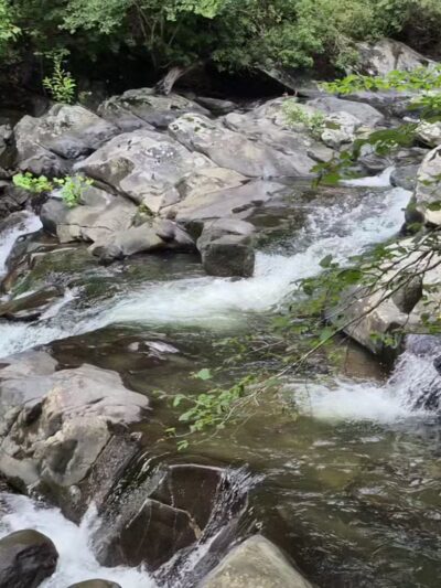 Emery Creek Trail Trailhead - Chatsworth, GA