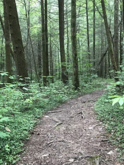 Emery Creek Trail Trailhead - Chatsworth, GA