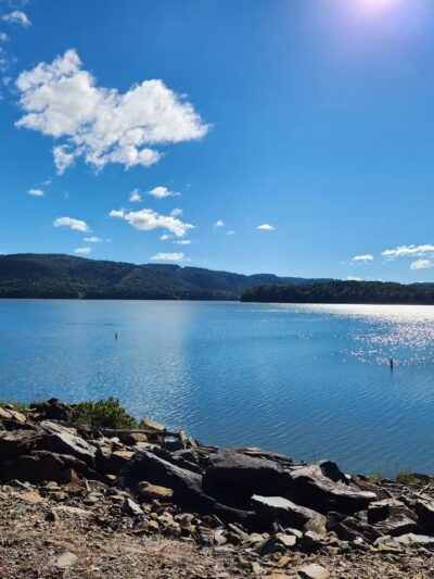 Hidden Pond Trail Songbird Management Area - Chatsworth, GA