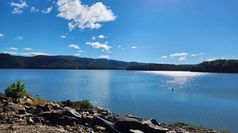 Hidden Pond Trail Songbird Management Area - Chatsworth, GA
