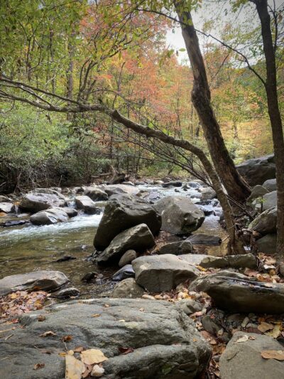 Holly Creek Picnic Area - Chatsworth, GA