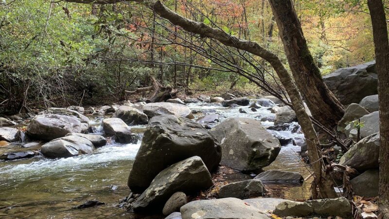 Holly Creek Picnic Area - Chatsworth, GA