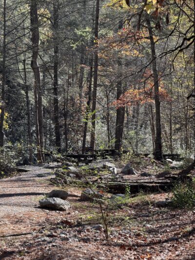 Holly Creek Picnic Area - Chatsworth, GA