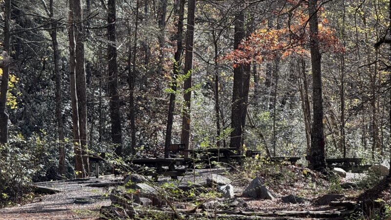 Holly Creek Picnic Area - Chatsworth, GA